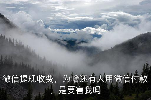 微信提現(xiàn)收費(fèi)，為啥還有人用微信付款，是要害我嗎