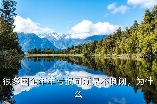 很多國企年年虧損可就是不倒閉，為什么