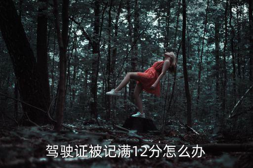 駕駛證被扣十二分怎么辦,駕駛證扣12分