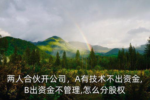 兩人合伙開公司，A有技術(shù)不出資金,B出資金不管理,怎么分股權(quán)