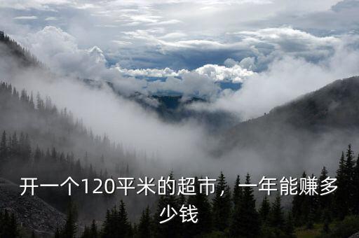 開(kāi)一個(gè)120平米的超市，一年能賺多少錢