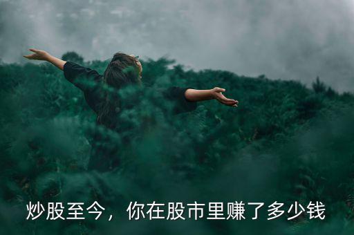 炒股至今，你在股市里賺了多少錢