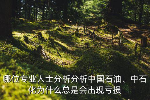 哪位專業(yè)人士分析分析中國(guó)石油、中石化為什么總是會(huì)出現(xiàn)虧損