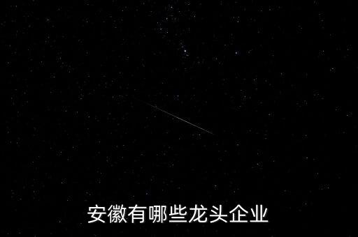 安徽有多少家上市公司,安徽有哪些龍頭企業(yè)