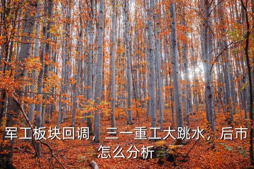 軍工板塊回調(diào)，三一重工大跳水，后市怎么分析