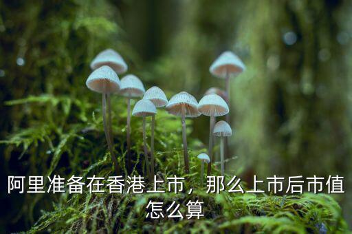 阿里準(zhǔn)備在香港上市，那么上市后市值怎么算