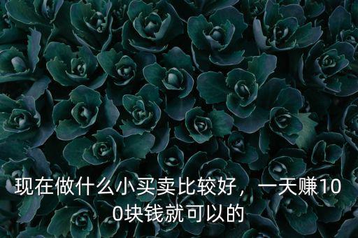 現(xiàn)在轉(zhuǎn)型期做什么小買賣好,現(xiàn)在做什么小買賣比較好