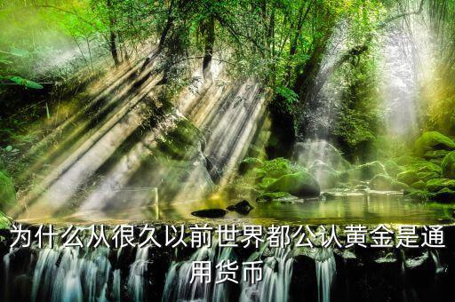 黃金為什么是貨幣,貨幣天然不是黃金