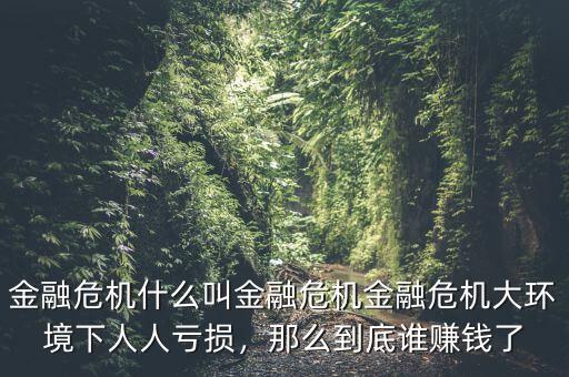 金融危機(jī)什么叫金融危機(jī)金融危機(jī)大環(huán)境下人人虧損，那么到底誰(shuí)賺錢了