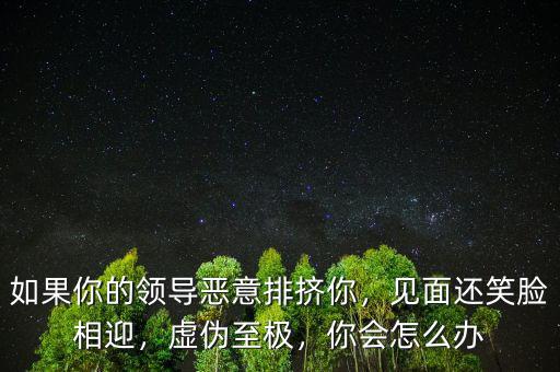 如果你的領(lǐng)導(dǎo)惡意排擠你，見面還笑臉相迎，虛偽至極，你會(huì)怎么辦