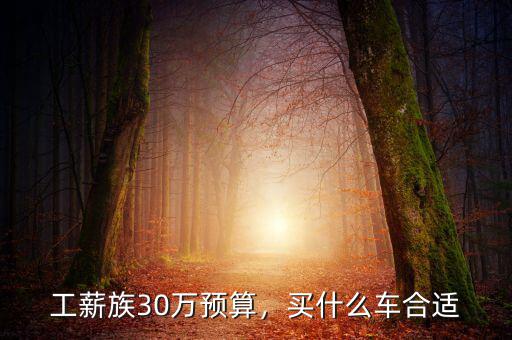 工薪族30萬預(yù)算，買什么車合適