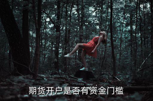 期貨開(kāi)戶是否有資金門檻