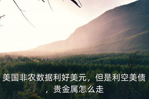 美國非農數據利好美元，但是利空美債，貴金屬怎么走