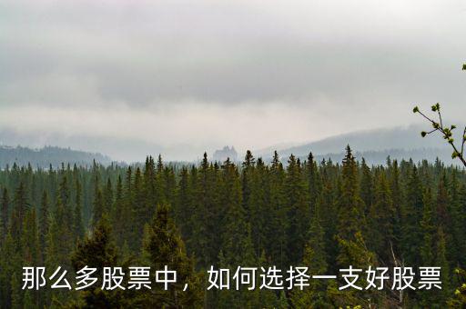 那么多股票中，如何選擇一支好股票