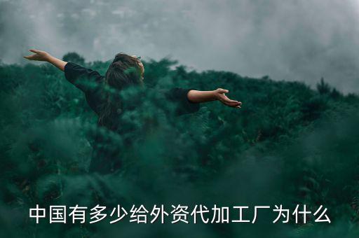 外資在中國(guó)有多少資產(chǎn),中國(guó)有多少給外資代加工廠(chǎng)