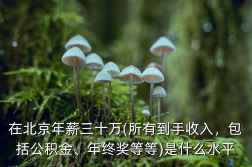 在北京年薪三十萬(所有到手收入，包括公積金、年終獎(jiǎng)等等)是什么水平