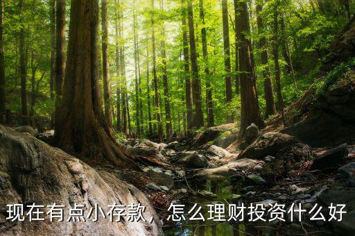 現(xiàn)在有點小存款，怎么理財投資什么好
