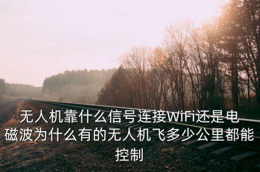大疆無人機(jī)靠什么通信,無人機(jī)靠什么信號連接