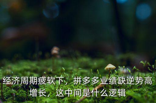 經(jīng)濟(jì)周期疲軟下，拼多多業(yè)績?nèi)蹦鎰莞咴鲩L，這中間是什么邏輯