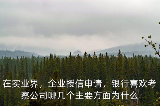 在實業(yè)界，企業(yè)授信申請，銀行喜歡考察公司哪幾個主要方面為什么