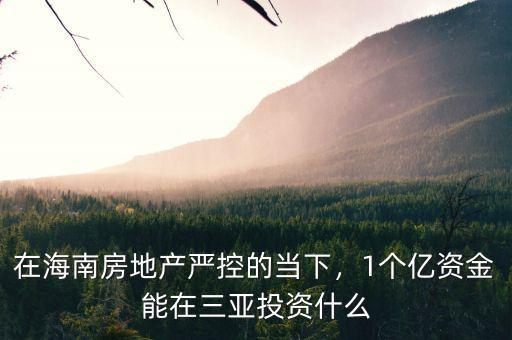 在海南房地產(chǎn)嚴控的當下，1個億資金能在三亞投資什么