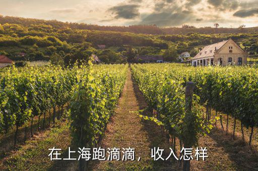 在上海跑滴滴，收入怎樣