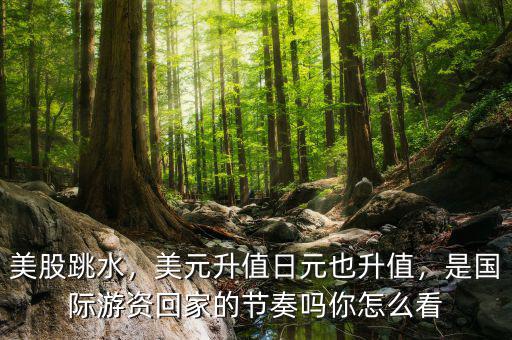 美股跳水，美元升值日元也升值，是國際游資回家的節(jié)奏嗎你怎么看