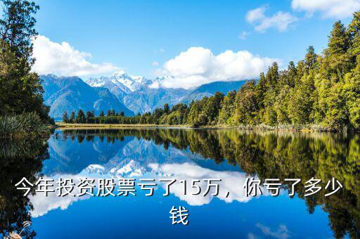 今年投資股票虧了15萬，你虧了多少錢