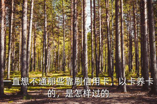 一直想不通那些靠刷信用卡，以卡養(yǎng)卡的，是怎樣過的