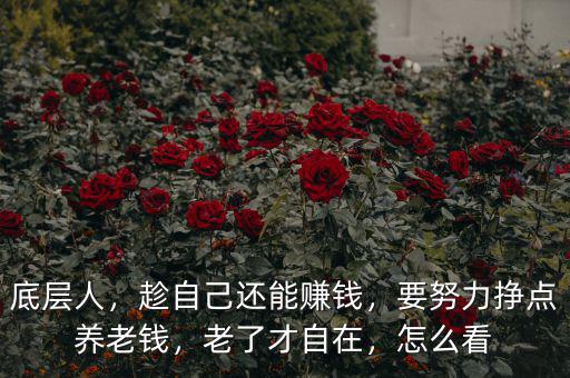 底層人，趁自己還能賺錢(qián)，要努力掙點(diǎn)養(yǎng)老錢(qián)，老了才自在，怎么看