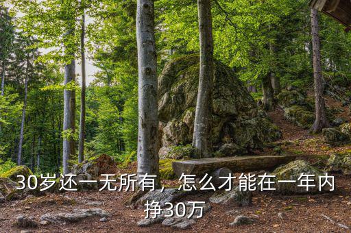 30歲還一無所有，怎么才能在一年內掙30萬
