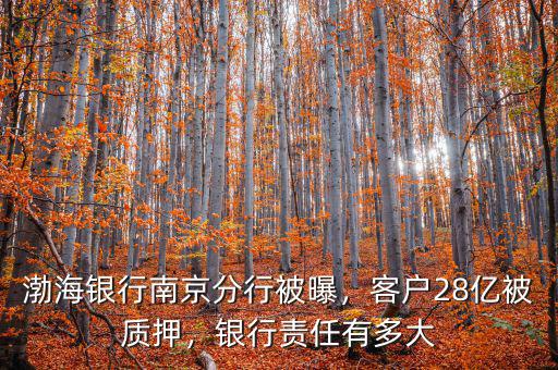 渤海銀行南京分行被曝，客戶28億被質(zhì)押，銀行責(zé)任有多大