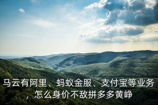 馬云有阿里、螞蟻金服、支付寶等業(yè)務(wù)，怎么身價(jià)不敵拼多多黃崢