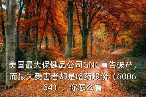 美國最大保健品公司GNC宣告破產(chǎn)，而最大受害者卻是哈藥股份（600664），你怎么看