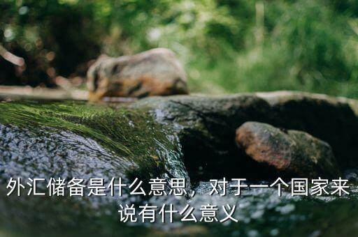 外匯儲備是什么意思，對于一個(gè)國家來說有什么意義