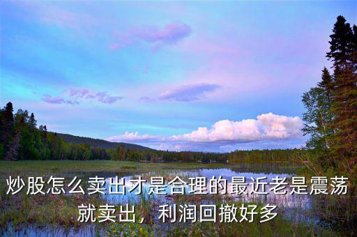 炒股怎么賣出才是合理的最近老是震蕩就賣出，利潤回撤好多