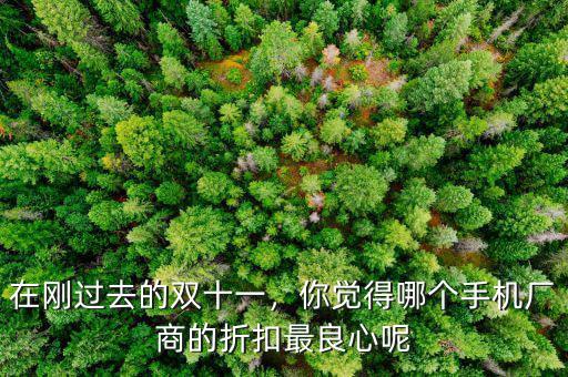 在剛過去的雙十一，你覺得哪個手機廠商的折扣最良心呢