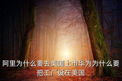 阿里為什么不是外國(guó)公司,為什么會(huì)被說(shuō)成是外國(guó)企業(yè)呢