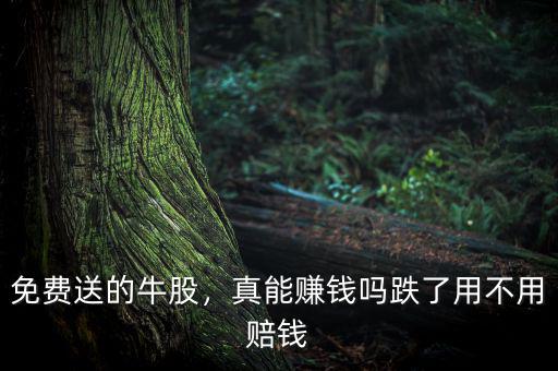 免費送的牛股，真能賺錢嗎跌了用不用賠錢