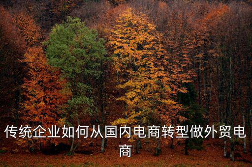 傳統(tǒng)企業(yè)如何從國內電商轉型做外貿電商
