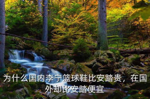 為什么國(guó)內(nèi)李寧籃球鞋比安踏貴，在國(guó)外卻比安踏便宜