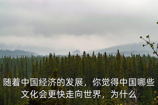 為什么中國經(jīng)濟發(fā)展快,為什么南方經(jīng)濟發(fā)展快