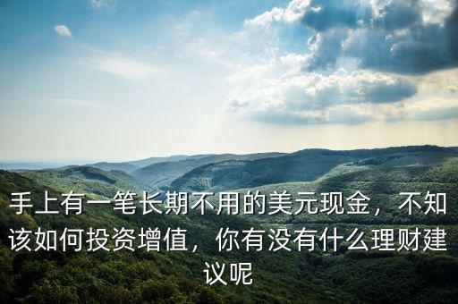 手上有一筆長期不用的美元現(xiàn)金，不知該如何投資增值，你有沒有什么理財建議呢