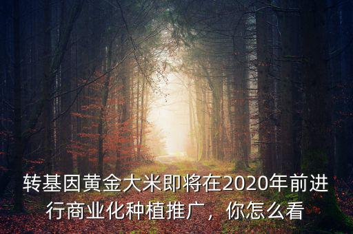 轉(zhuǎn)基因黃金大米即將在2020年前進(jìn)行商業(yè)化種植推廣，你怎么看