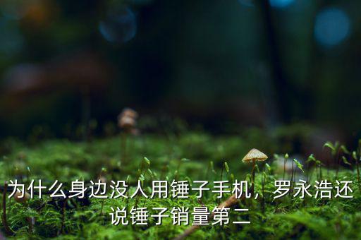錘子手機(jī)為什么賣(mài)不好,錘子手機(jī)為什么不能大賣(mài)