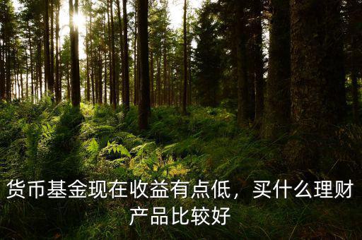 貨幣基金現(xiàn)在收益有點低，買什么理財產(chǎn)品比較好