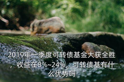 2019年一季度可轉(zhuǎn)債基金大獲全勝，收益在8%~24%，可轉(zhuǎn)債基有什么優(yōu)勢(shì)嗎