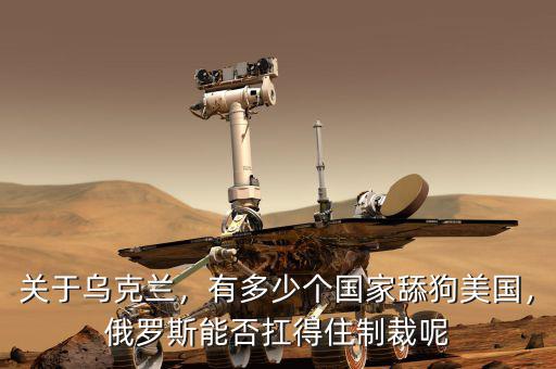 關(guān)于烏克蘭，有多少個(gè)國家舔狗美國，俄羅斯能否扛得住制裁呢