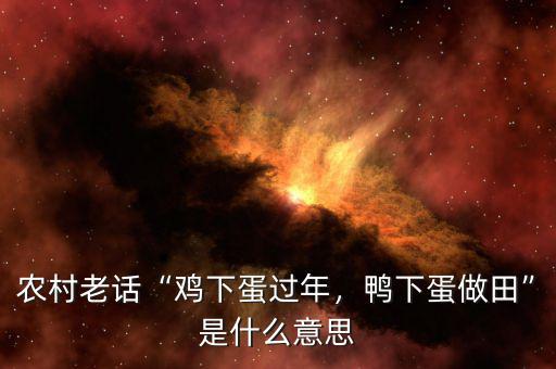 農(nóng)村老話“雞下蛋過年，鴨下蛋做田”是什么意思