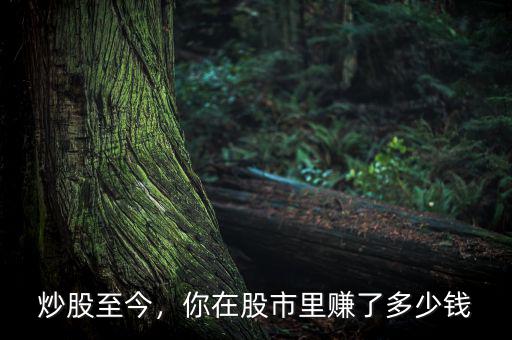 炒股至今，你在股市里賺了多少錢